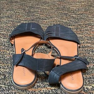 Women size 12 lucky brand